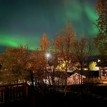 New Luxurious Aurora *