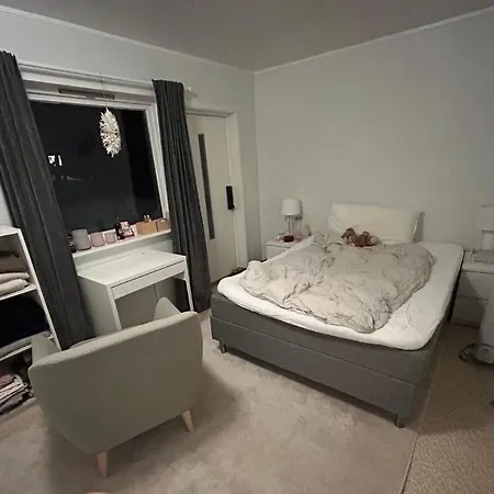New Luxurious Aurora Apartment